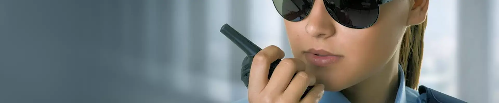 d33c5b7b43d4b5196da701187d238080